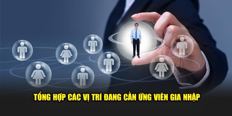 Tổng hợp các vị trí đang cần ứng viên gia nhập